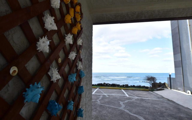 Fantastic Ocean View Sydney Hotel