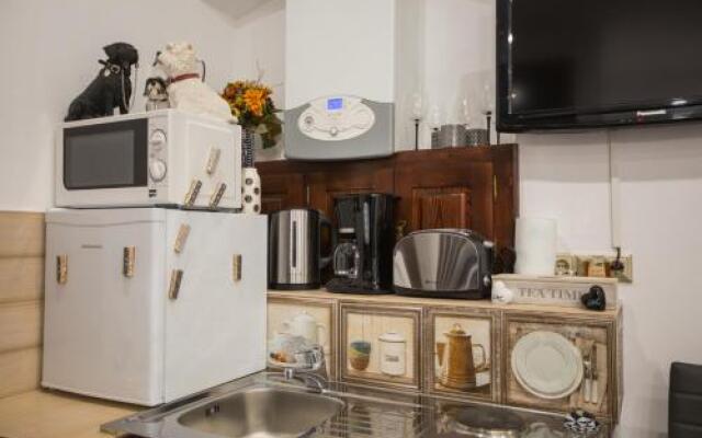 History Apartment Str Cetatii