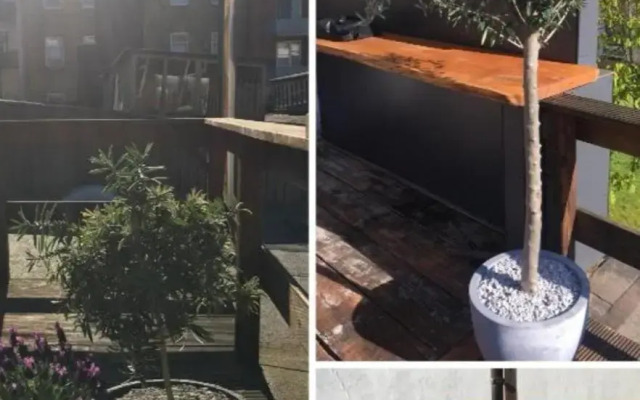 Ferienwohnung City Loft