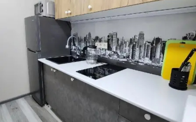 Апартаменты на улице Башидзе 10