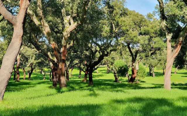 Quinta Da Bizelga Cottages