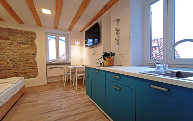 Ribiška hiša - Old Piran Fisherman's House