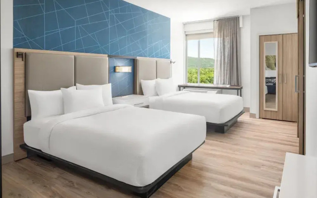 Springhill Suites By Marriott Roanoke North