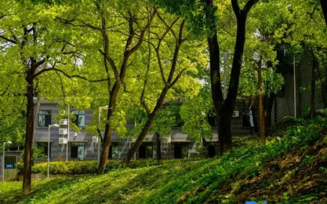 Zhangfei Gudao Holiday Hotel