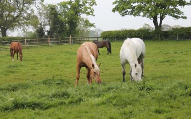 The Jockey Room Hideaway