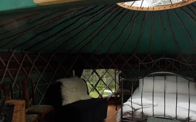 Rowan Yurt - Campsite