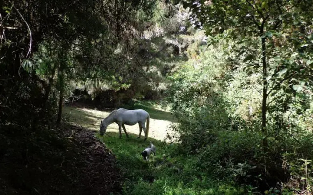 Hacienda El Paraiso