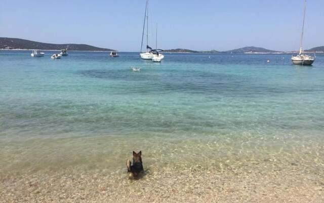 Delfin - sea View - A3 Zeleni