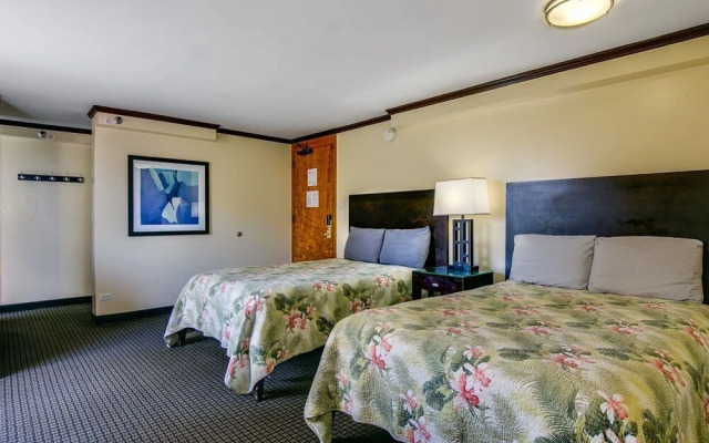 Bamboo 601 - Studio Condo