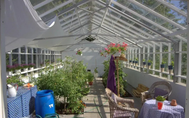 Stutteri Skandi Hest