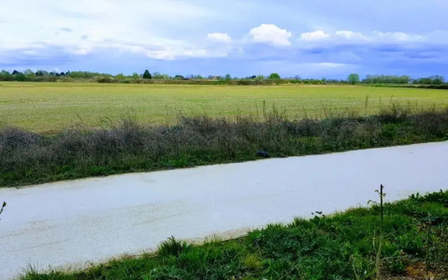 Mickey's closest neighbor