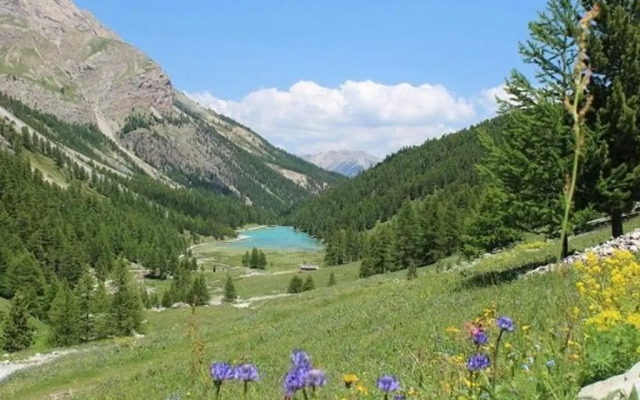 Appartement Orcières Merlette, 1 pièce, 4 personnes - FR-1-262-84