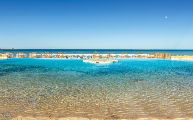 Ocean Sahl Hasheesh