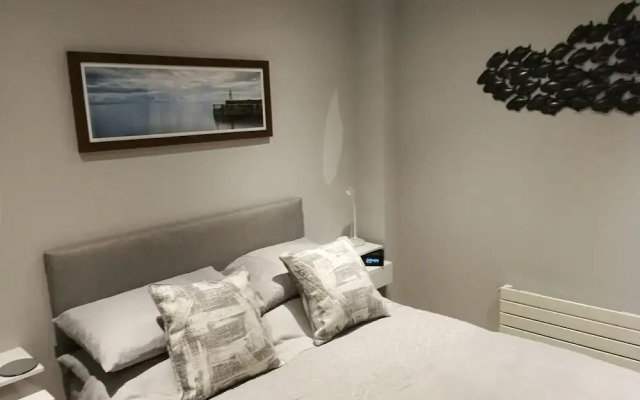 Blue Mackerel - Adults Only