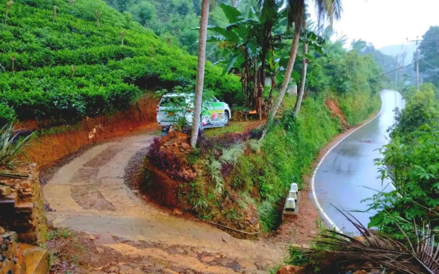 Rainforest Nature House