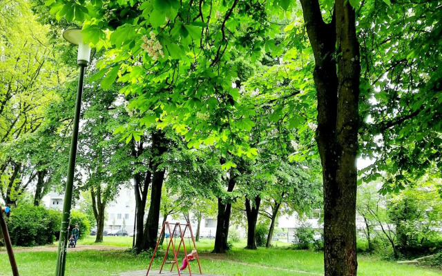 Franko's Cozy Apartment with garage