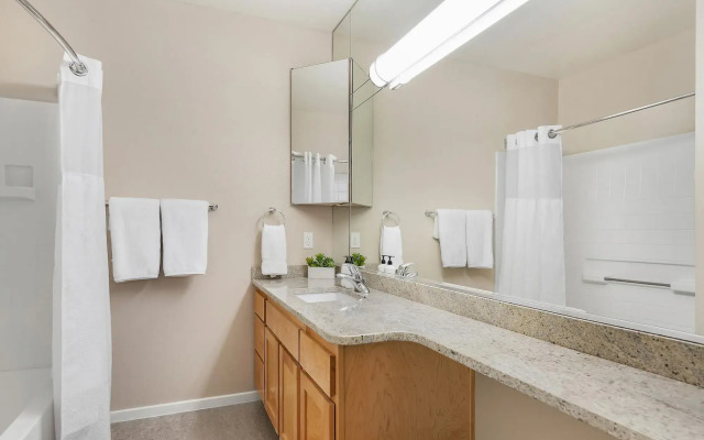 Bellevue Spacious 2BD 2BA Apartment