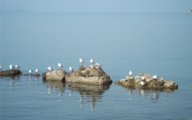 Duskica - close to the sea - A1(4+2)