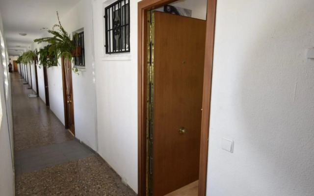 Comercial Lepanto - Fincas Arena