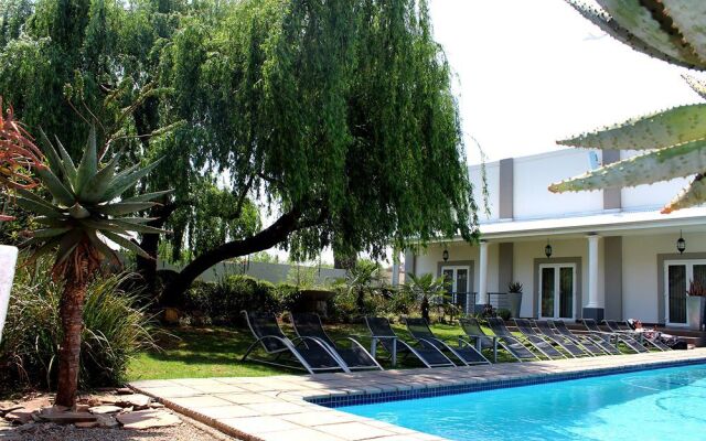 The Aviator OR Tambo