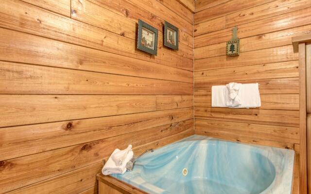 Bear Pause by Vtrips