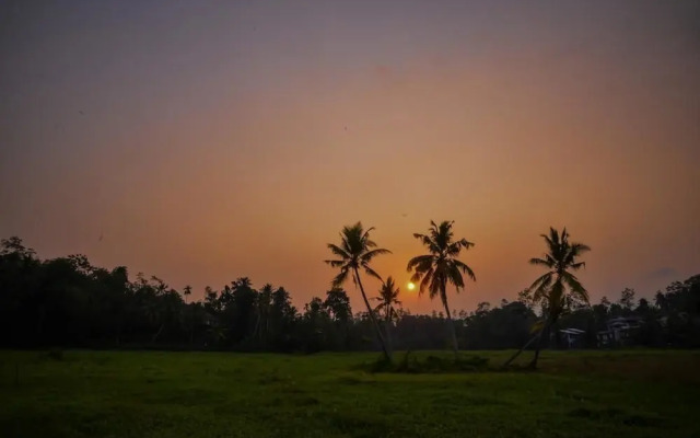 Green View Homestay