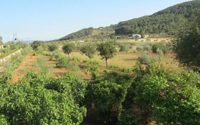 Concava Camp
