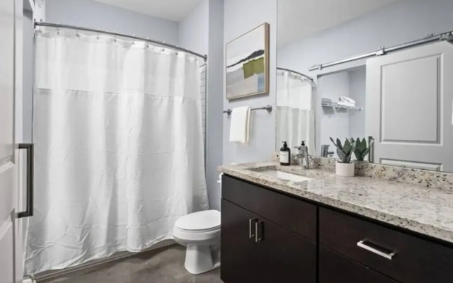 CozySuites TWO Stylish Apts Monument Cir