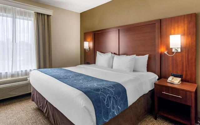 Comfort Suites At Rivergate Mall