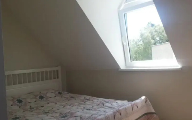 B&B In Downtown