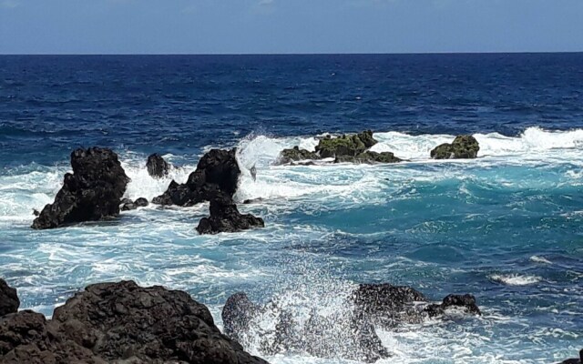 Finca El Lance
