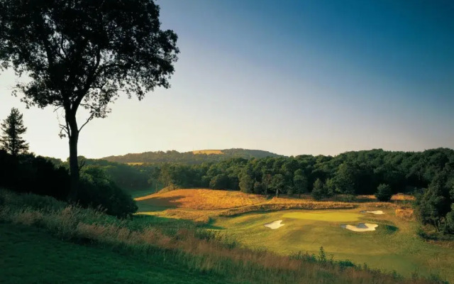 The Goodwood