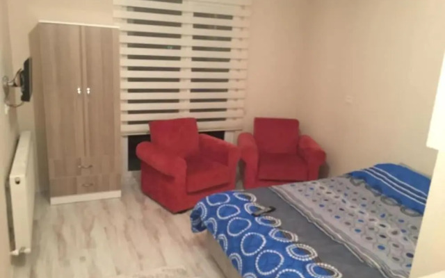 Black and White House