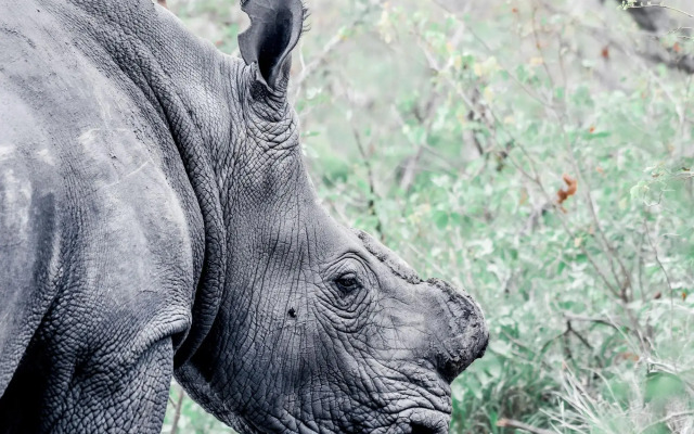 MILIMA Big 5 Safari Lodge