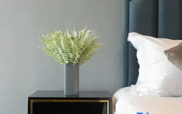 Siman Light Luxury Hotel Changsha Wuyi Square