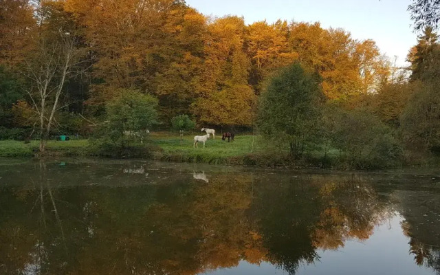 Nid dans la forêt