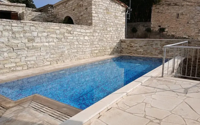 Mountain View Oasis