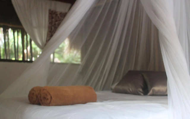 Maya Cabanas & Cenote Tulum