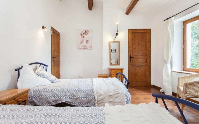 Hirondelle in Charming Village