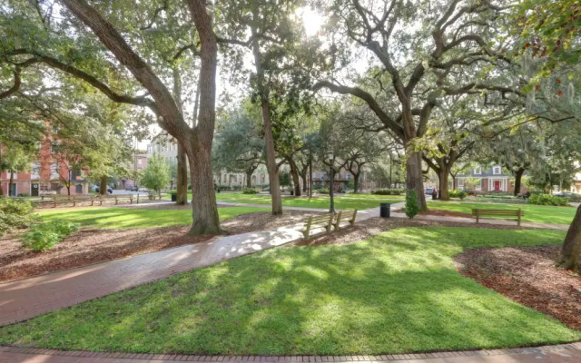 Savannah Oaks