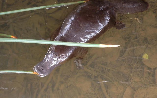 Silver Ridge Retreat