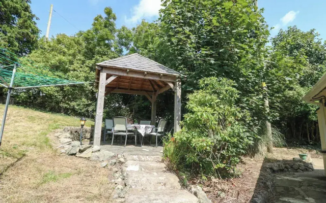 Petlyns Patch