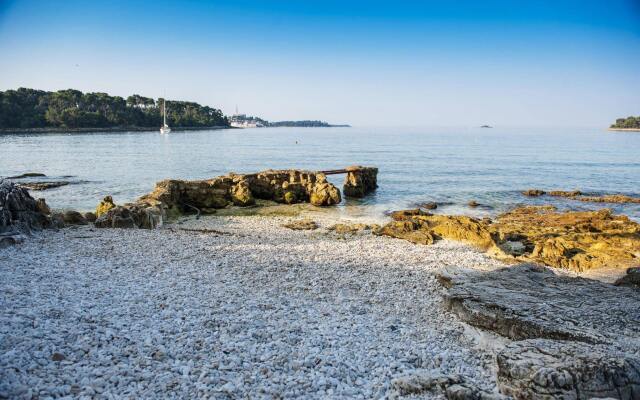 Apartments Villa  Borik