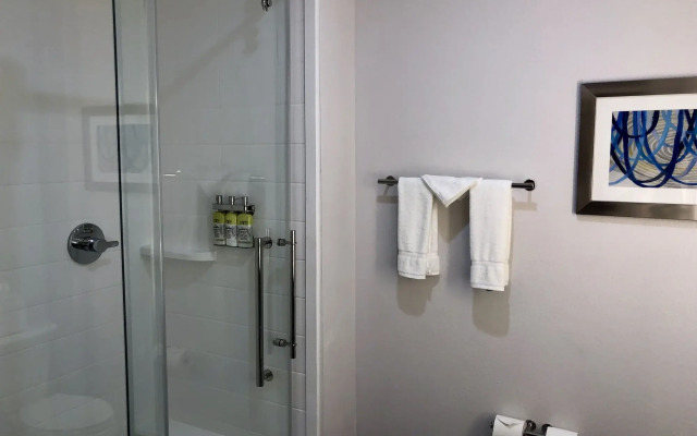 Holiday Inn Express and Suites Houston Westchase - Westheimer by IHG