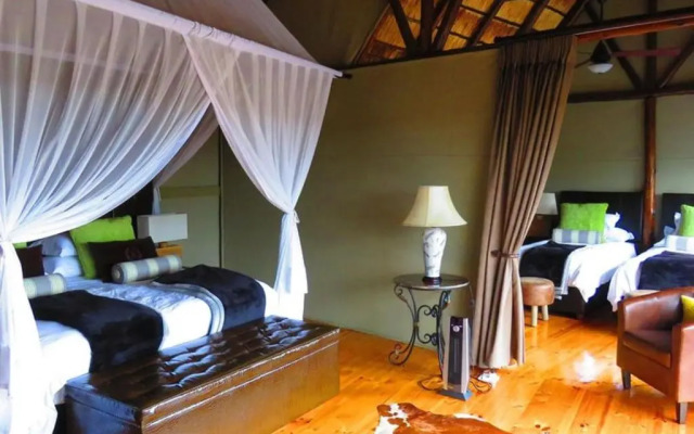 The Safari Lodge