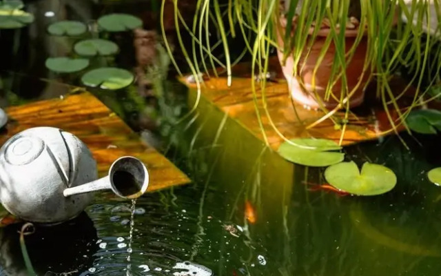 The 5 Sandalwood Lodge is Situated in Mount Pleasant - 2019