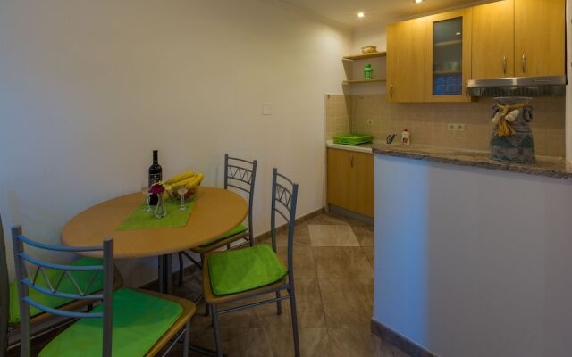 Apartment Nika