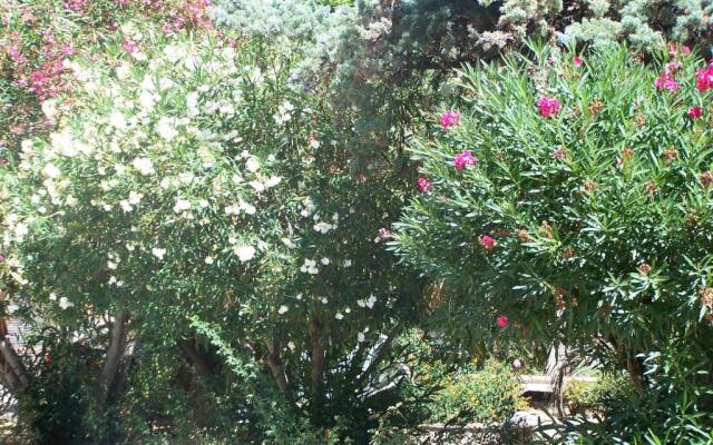 Lauriers Roses