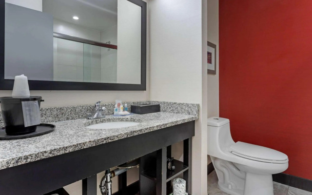 Comfort Inn & Suites near Stadium