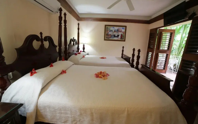 Negril Palms